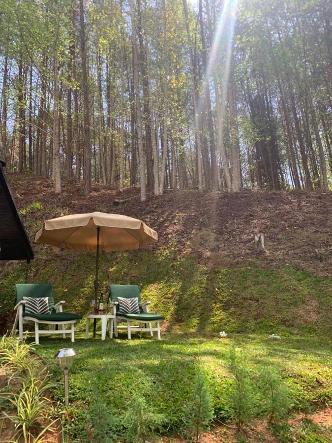 Chale De Luxo Pertinho De Monte Verde Monte Verde  Dış mekan fotoğraf